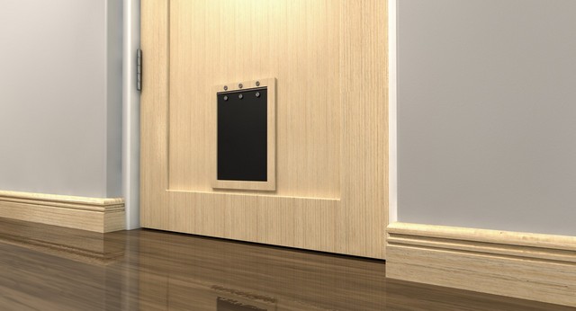 Cat Flap Installation Cheshunt, Waltham Cross, EN8